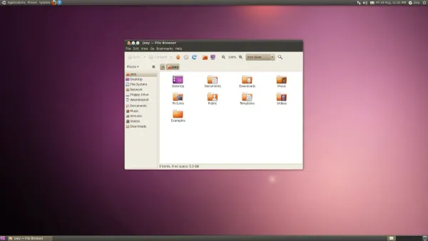 Ubuntu 10.04 desktop screenshot.